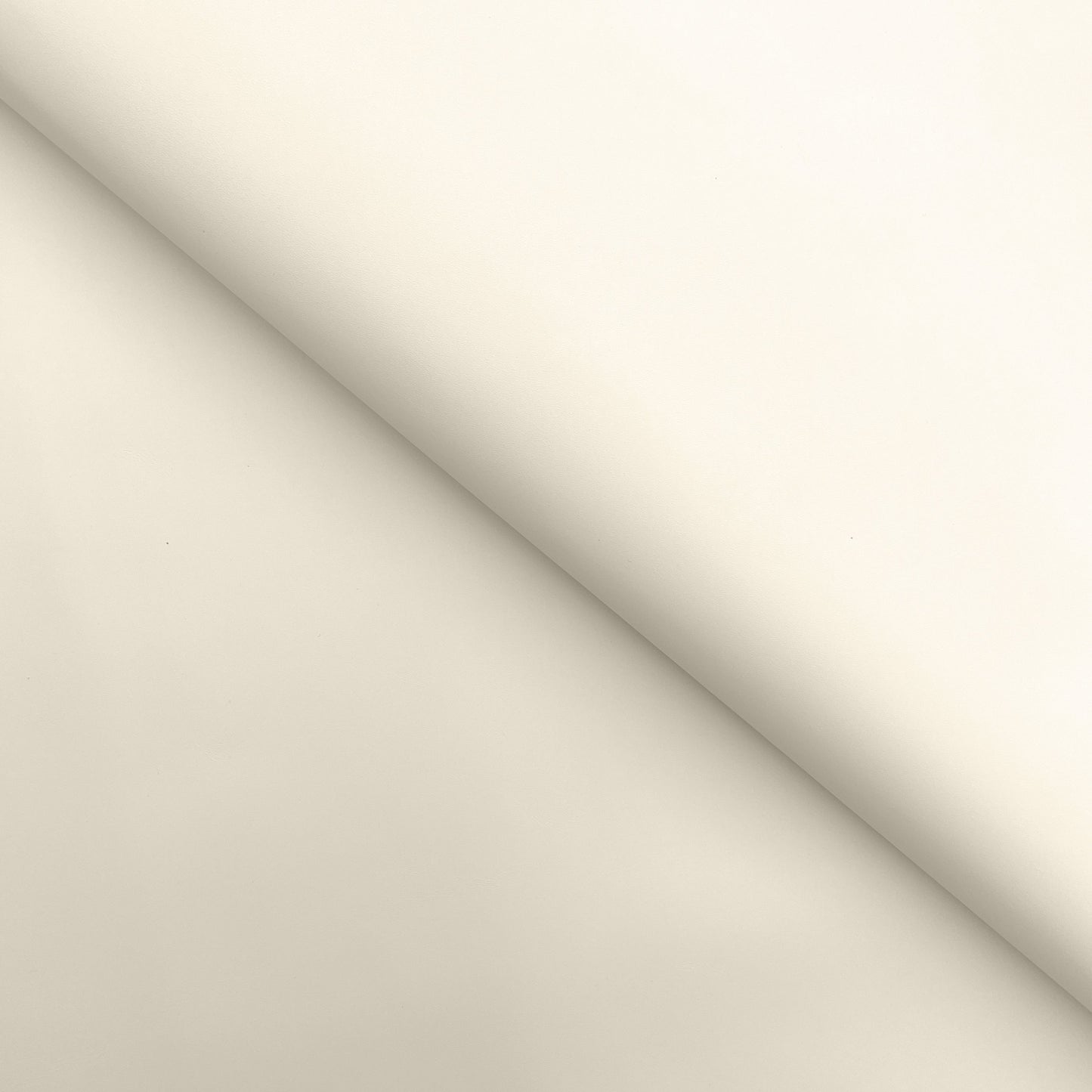 C22K00017 | Supple Smooth calfskin