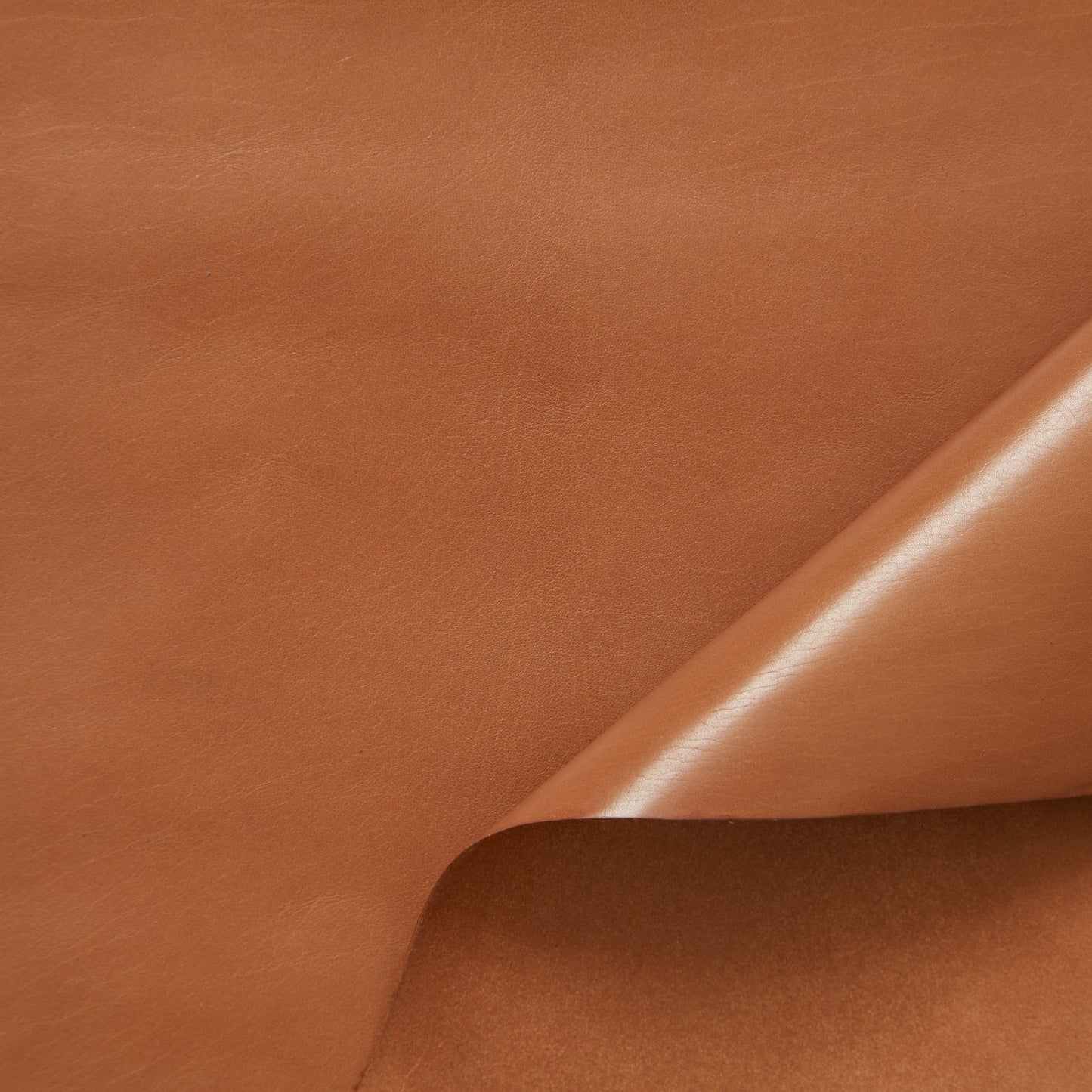 C24VV0120 | Full Grain Shiny Natural Nappa Calf