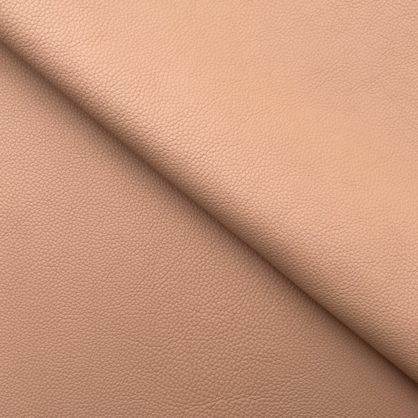 C22B00018 | Large grain young bull leather