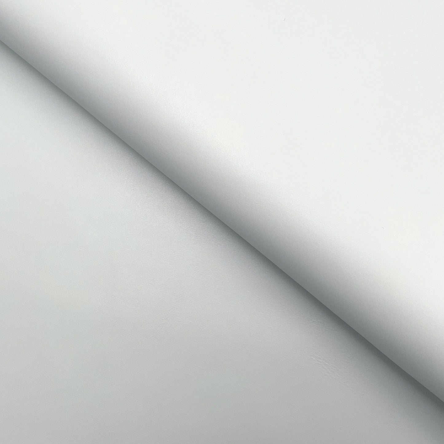 C22B00019 | Smooth satinated calfskin