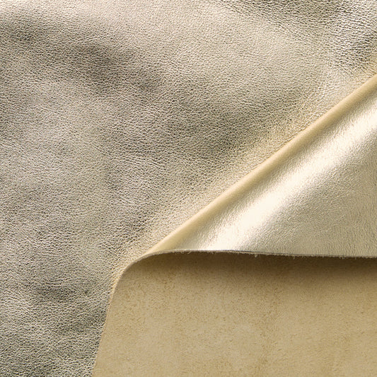 C24CV0198 | Supple Lamé Calf